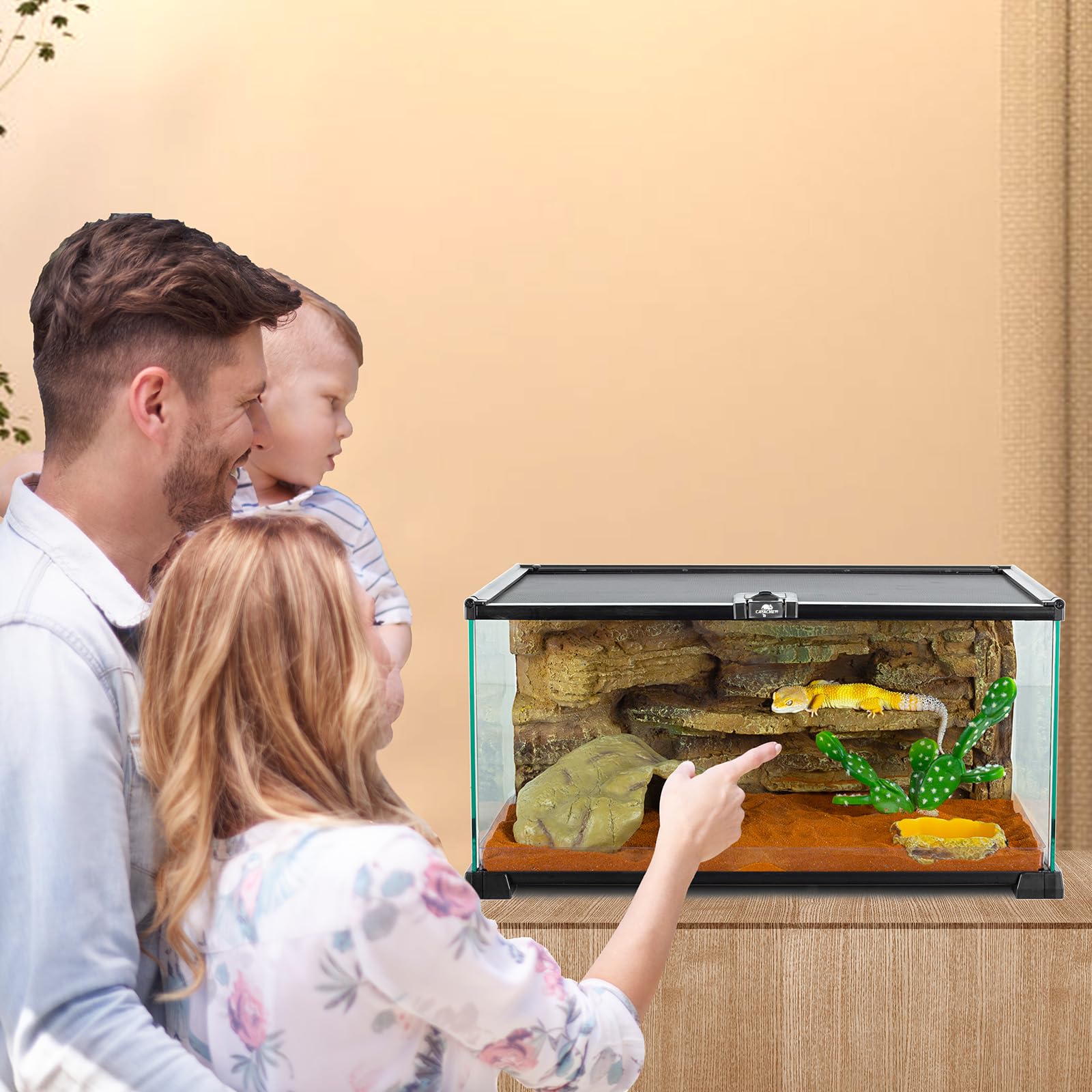 Terrarien für Reptilien & Amphibien, Terrarium 50 x 30 x 20 cm, Terrarium Glas für Schildkröten, Bartagame, Schlange, Gecko, Obere Masche Belüftung, 360°Betrachtung