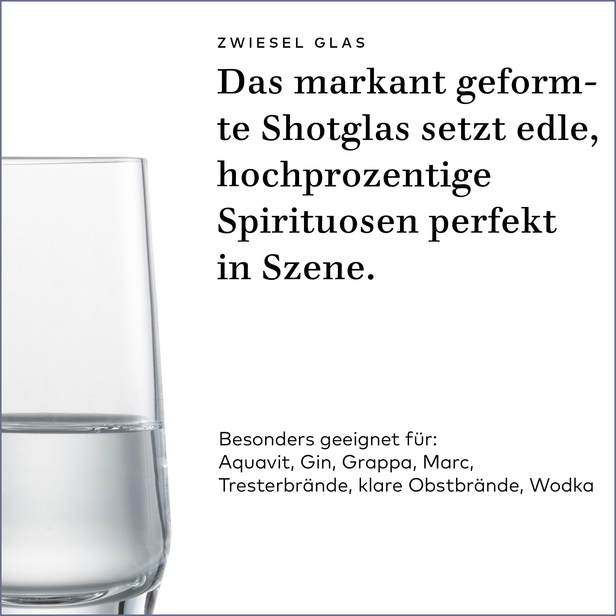 Zwiesel Glas Juego de 4 vasos de chupito, aptos para lavavajillas, 94 ml, altura 9,5 cm