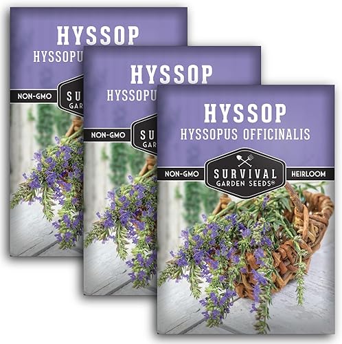 Miniatura 9 de Semilla de hisopo para plantar, 1 paquete con instrucciones para plantar y cultivar Agastache en tu jardín de hierbas casero, variedad de reliquia