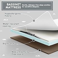 Vista 7 de HARPPA Moisés Acogedor, Moisés para Bebé 3 en 1, Moisés Mecedora de Cabecera con Ruedas, 5 Alturas Ajustables, Incluye Mosquitera, Colchón, Correa
