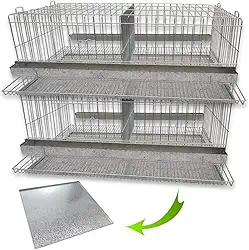 Kit 2 Gaiola Codorna Gigante Postura Viveiro Bandeja 40 Aves Poedeira Bateria (SEM BASE)