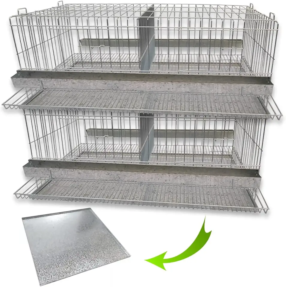 Kit 2 Gaiola Codorna Gigante Postura Viveiro Bandeja 40 Aves Poedeira Bateria (SEM BASE)