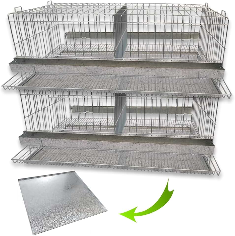 Kit 2 Gaiola Codorna Gigante Postura Viveiro Bandeja 40 Aves Poedeira Bateria (SEM BASE)