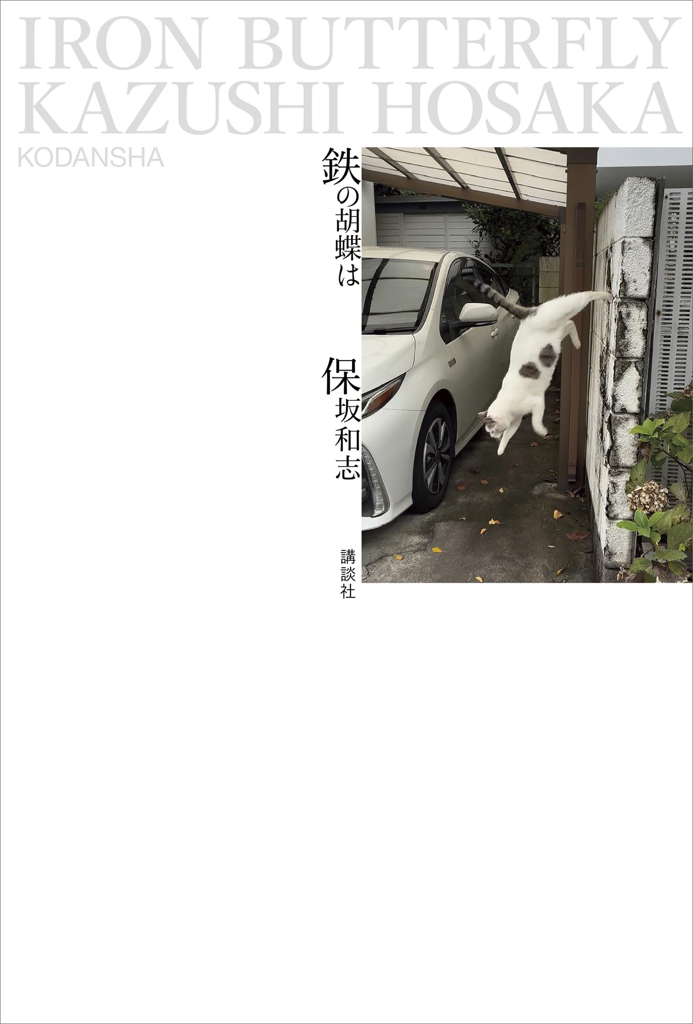 保坂和志 作品集 22冊セットおまけ付き Amazon.co.jp: 保坂 和志: 本、バイオグラフィー、最新アップデート