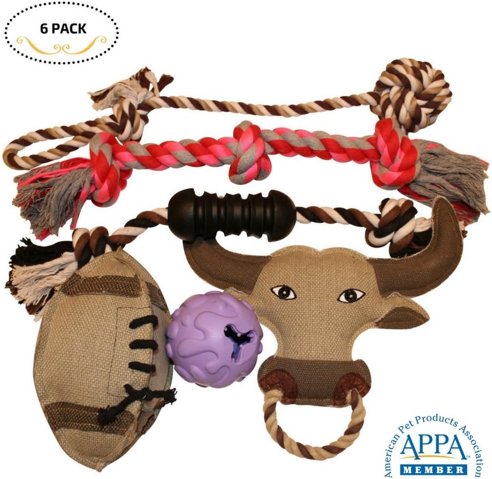 Dog Toys 6 Pcs Gift Set Variety Pack for Dogs Pet, Durable Teeth Cleaning Rope Chew Toys, Rubber Ball - Treat Dispensing Training Toy, Canvas Plush Squeaky, Nontoxic
