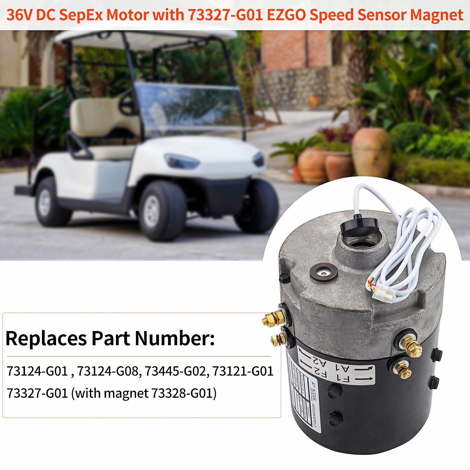 eRiNGo　0710 Amazon.com: 73445-G02 DE2-4007 36V Electric Advanced Motor with