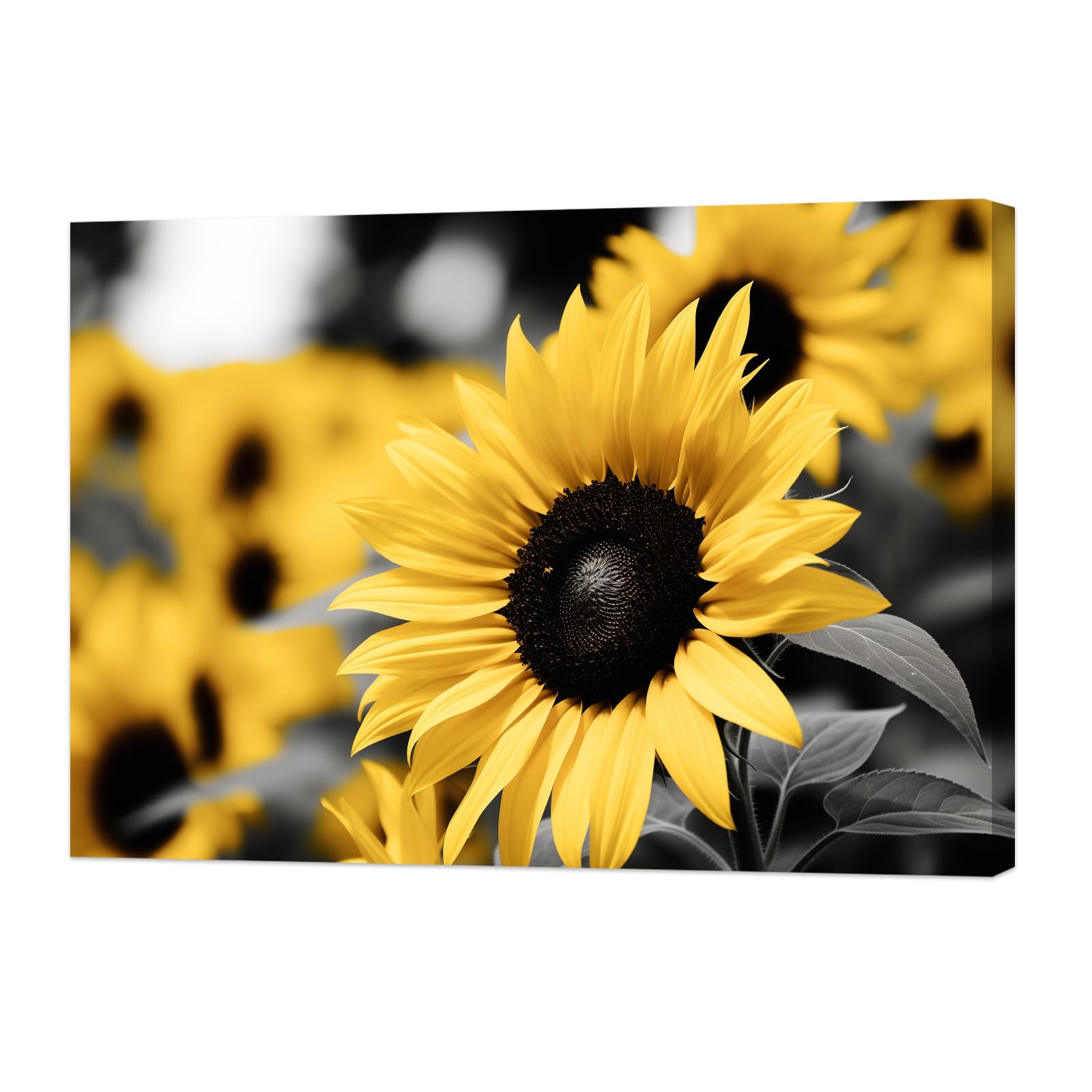 ZXHYWYM Sunflower Wall Art Black And White Sunflower Picture Yellow Floral Canvas Nature Flower Landscape Art Prints for Bathroom Kitchen Decor Framed (B, (30.00 x 45.00 cms))