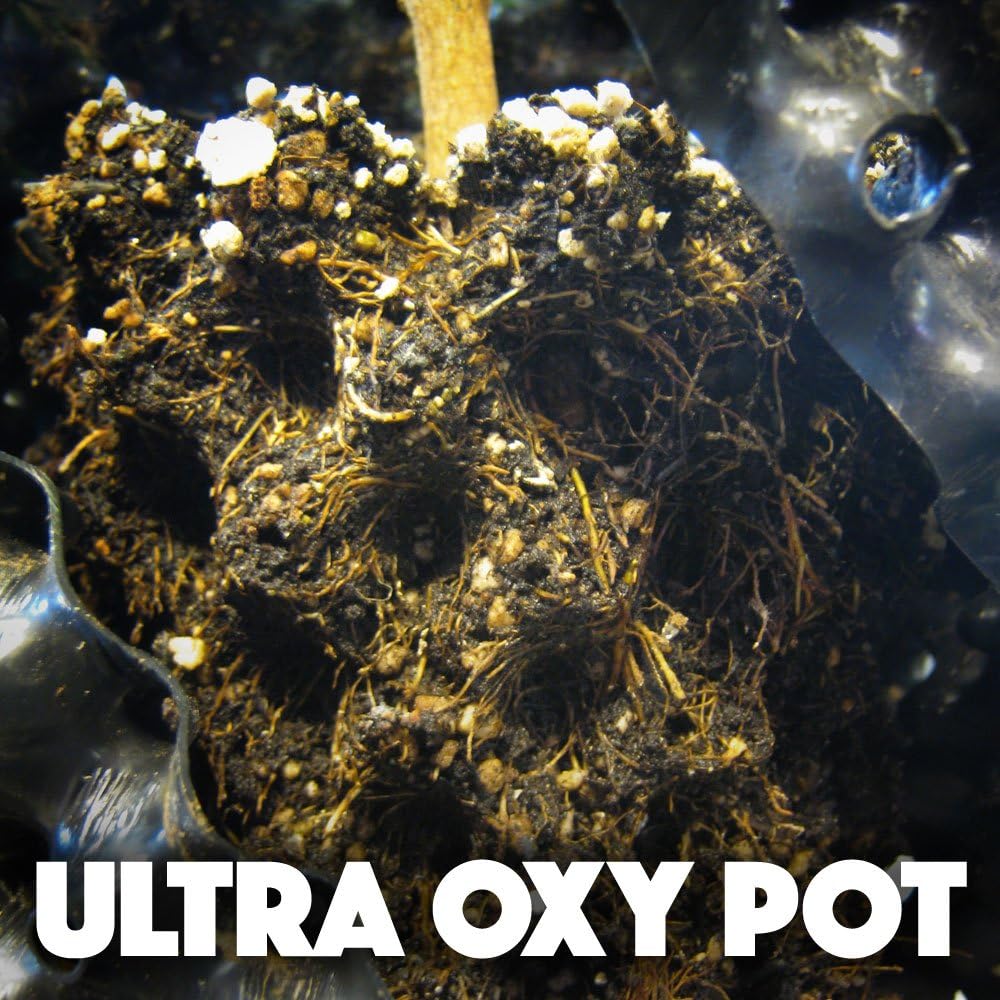 Ultra Oxy Pot Indoor/Outdoor Super Air-Pruning Black Planter - 1.5 Gallon - 10-Pack
