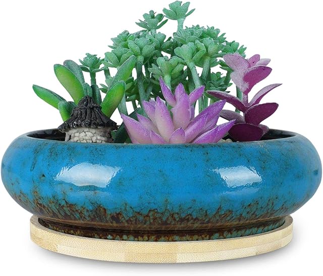 Succulent Plant Pot, 15.5CM Large Bonsai Pot with Tray Ceramic Flower Pot with Drainage Hole Shallow Cactus Plant Pots for Indoor/Outdoor Plants Glazed Planter Bowl, Blue