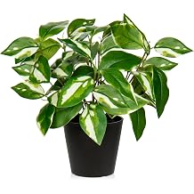 Oairse Artificial Plants Indoor Small Fake Plants in Pots Faux Pothos N Joy Potted Plant Fake Indoor Plants with Black Pots for Bathroom Living Room Office Desk Shelves