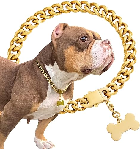 SUNEW Collar de cadena de metal para caminar con diseño de etiqueta de perro, hebilla segura, collar de cadena de eslabones cubanos resistente a