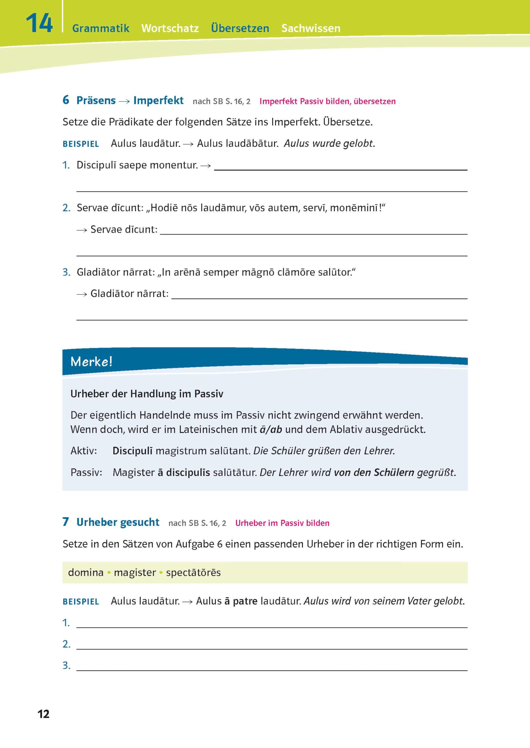 Pontes 2 - Das Trainingsbuch zum Schulbuch: 2. Lernjahr (Pontes. Ausgabe ab 2014)