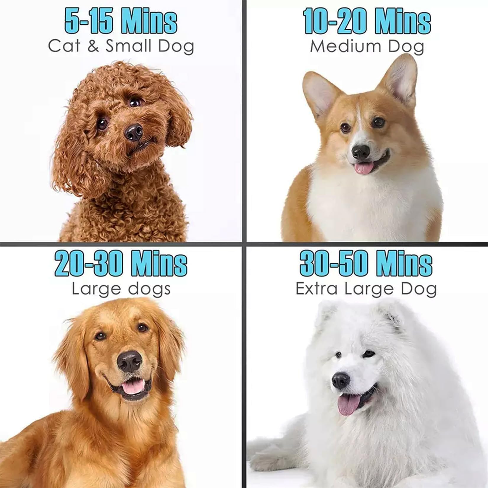 Soffiatore per Cani Asciugacapelli per Cani 2800W Phon Cani Velocità e Temperatura Regolabili Meno Rumore Asciuga Cane Toelettatura Animali con 4 Ugelli per Uso Privato e Professionale (Nero)