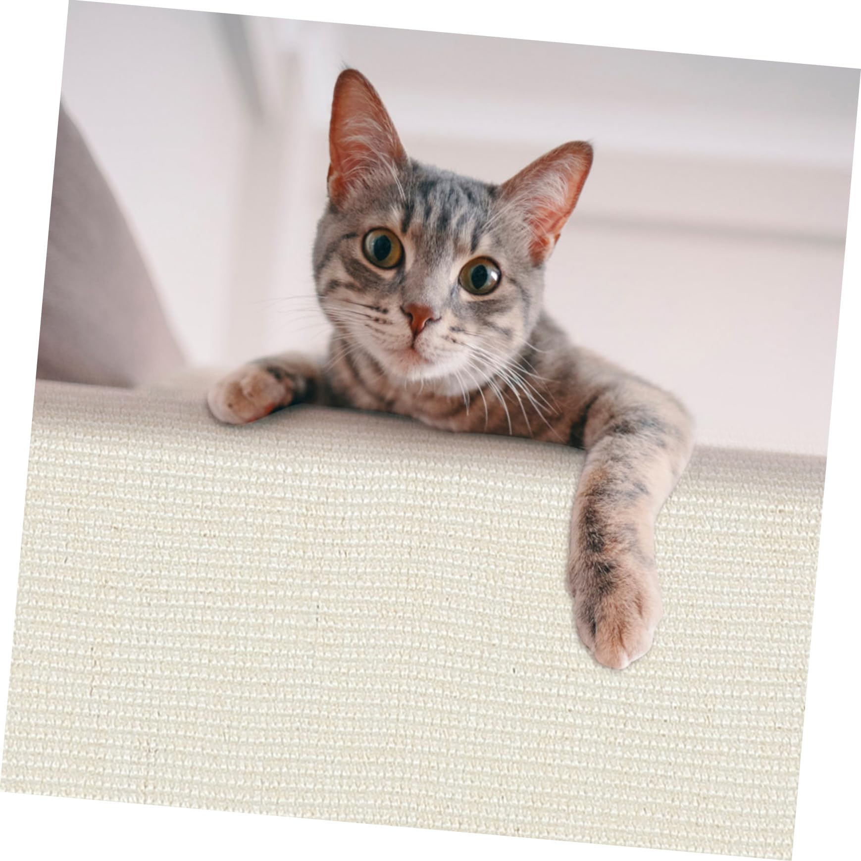 Protector para Sofá contra Arañazos de Gato Garra de Sisal, Funda Protectora para Reposabrazos, Adecuado para Oficina y Hogar, Antiarañazos y Resistente