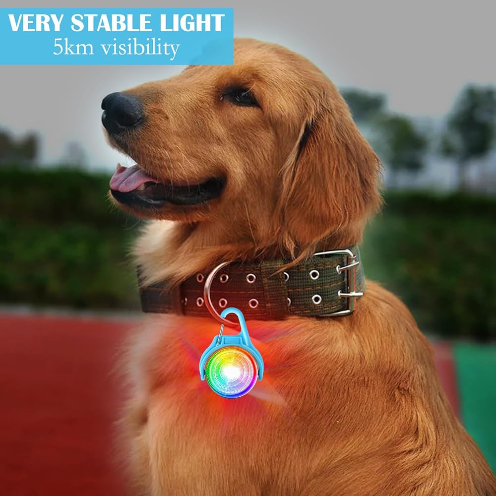 Ciondolo Luminoso Per Cani DAWRIS - Ricaricabile USB, 4 Modalità Luce, Impermeabile - Foto 5