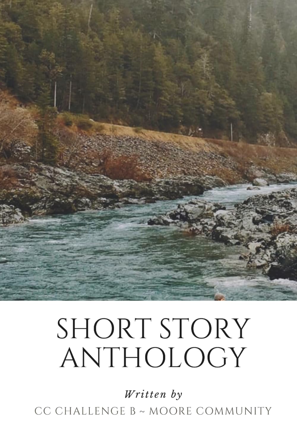 Short Story Anthology