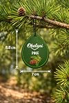 Volcano Burst Collection – Car Air Freshener 3‑Pack | Pine, Nightfall & Fresh Scents • Hanging paper fresheners for cars & small spaces