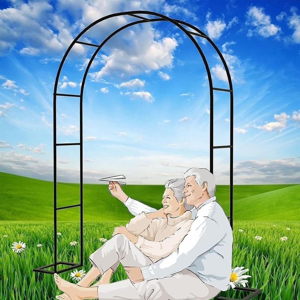 Arche de mariage en métal noir W2M*H2.3M pour plantes grimpantes et jardin extérieur
