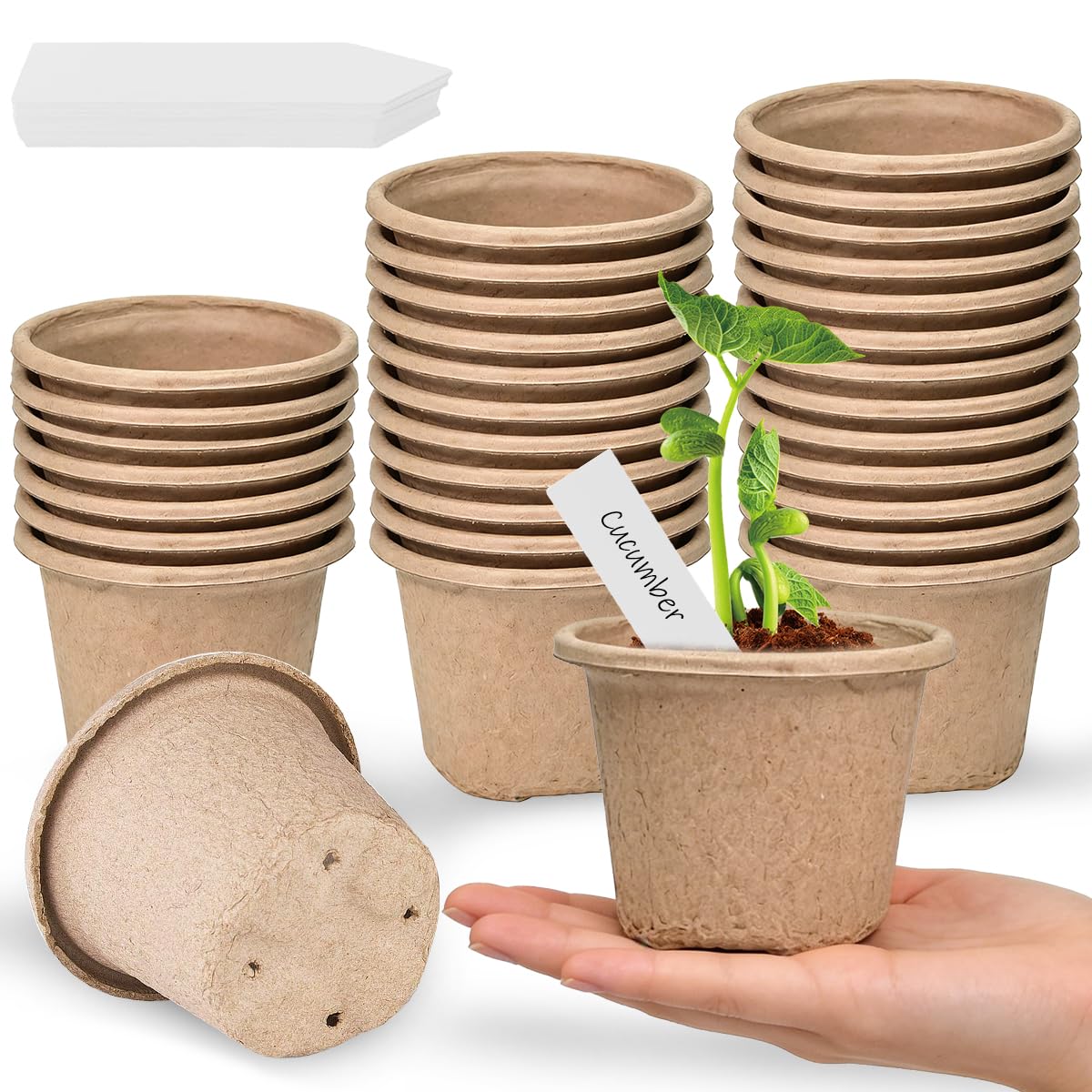 30 Pack Biodegradable Seed Pots