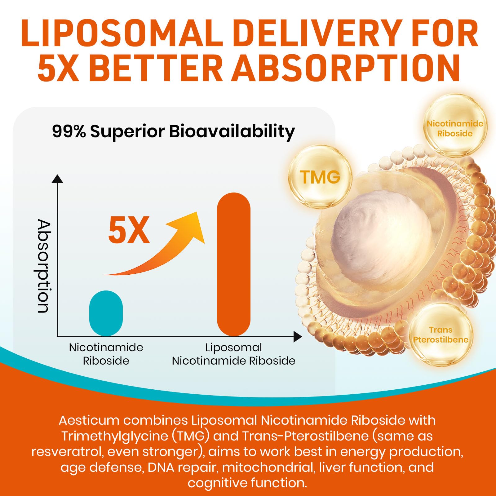 Liposomal Nicotinamide Riboside 2000mg, NAD+ Supplement, 60 Softgels — Amazon image 5