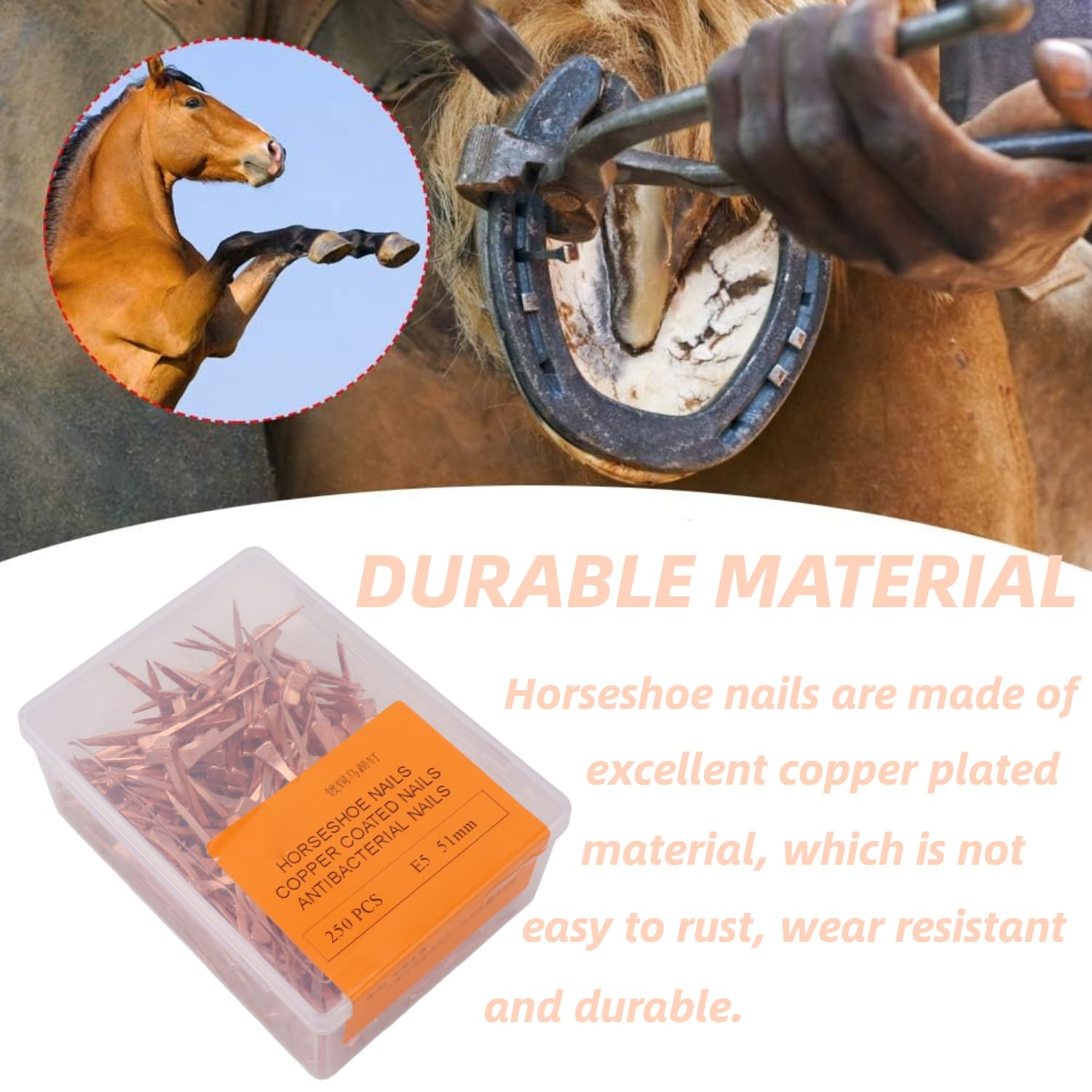 250Pcs Horseshoe Nail - Image 3