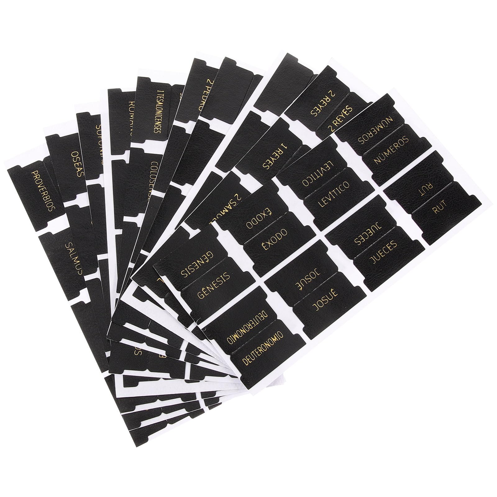 Pestañas bíblicas de cuero (80 uds) para el estudio del Antiguo y Nuevo Testamento 8
