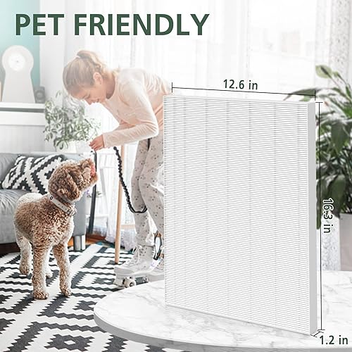 Miniatura 7 de 115115 Filtros de repuesto tamaño A 21 para purificador de aire Winix PlasmaWave 5300-2, C535, 6300, 5300, 6300-2, P300, AM90, 9000, 5000, 5000B,