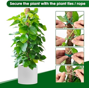 Mactoou Moss Pole, 4 PCS 41CM/16 Inches Coir Moss Poles for Cheese Plant, Monstera, Climbing Indoor Plants, Plant Supports Totem Pole with Twist Ties Kit for Plants to Grow Upwards