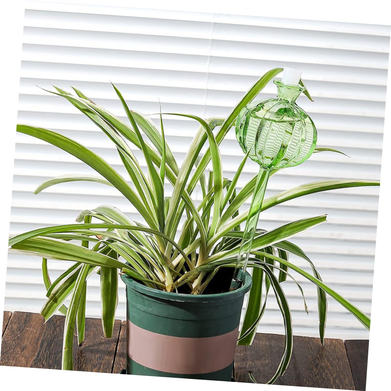 Mikikit Globes D’arrosage Automatique Cactus en Verre 4 Pièces Vert