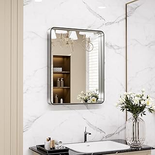 LOAAO 20x16 Inch Brushed Nickel Bathroom Mirror, Rounded Rectangle Silve...