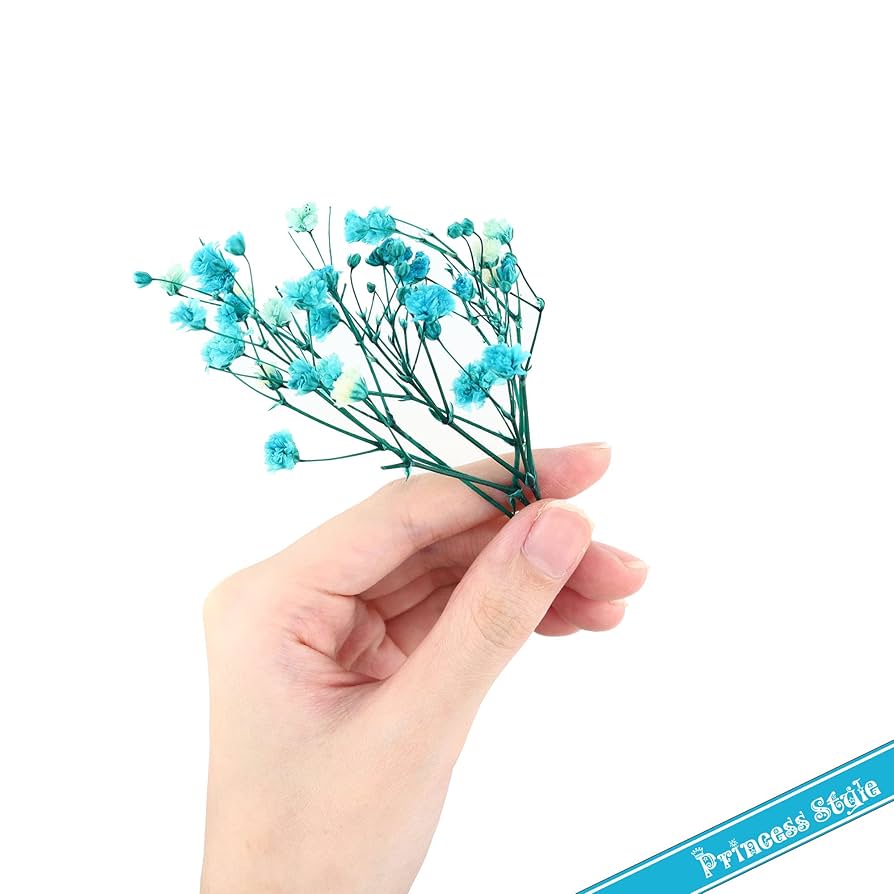 かすみ草様　専用ページ２ Amazon | Princess-style かすみ草 咲いた花 ドライフラワー