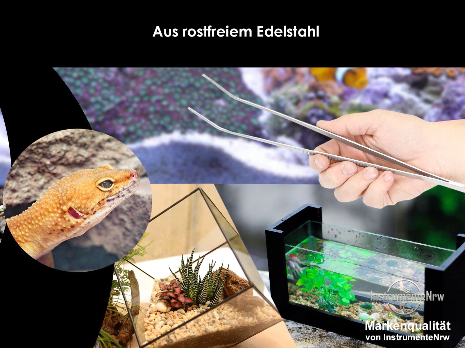 Komplett-Aquarium - Terrarium Set (Pflanzen-Pinzetten, Pflanzenschere, Kiesspatel im Etui), Edelstahl