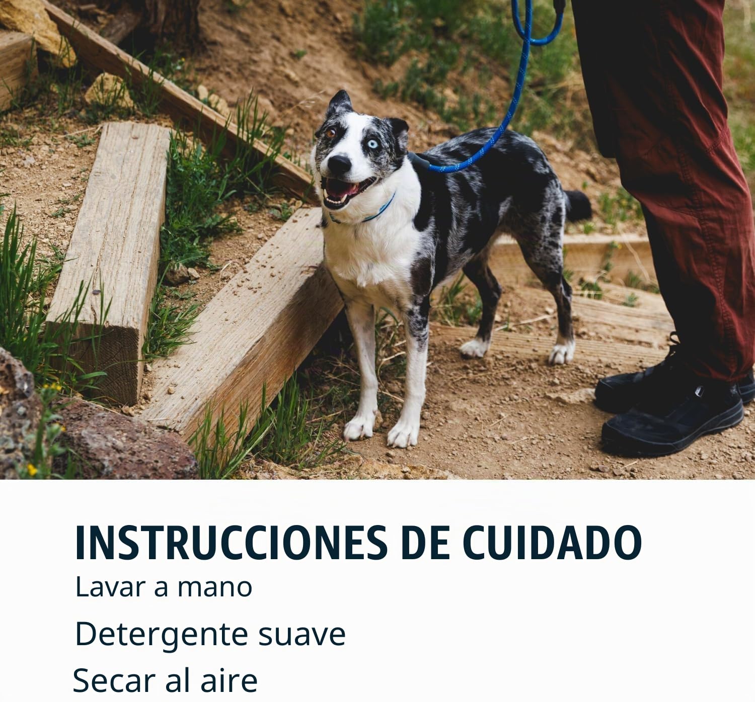 Ruffwear Knot-a-Leash Correa reflectante para perros de 1,5 m con asa acolchada, correa para perros ligera y resistente, correa antienredos, mosquetón de bloqueo seguro, L, piscina azul