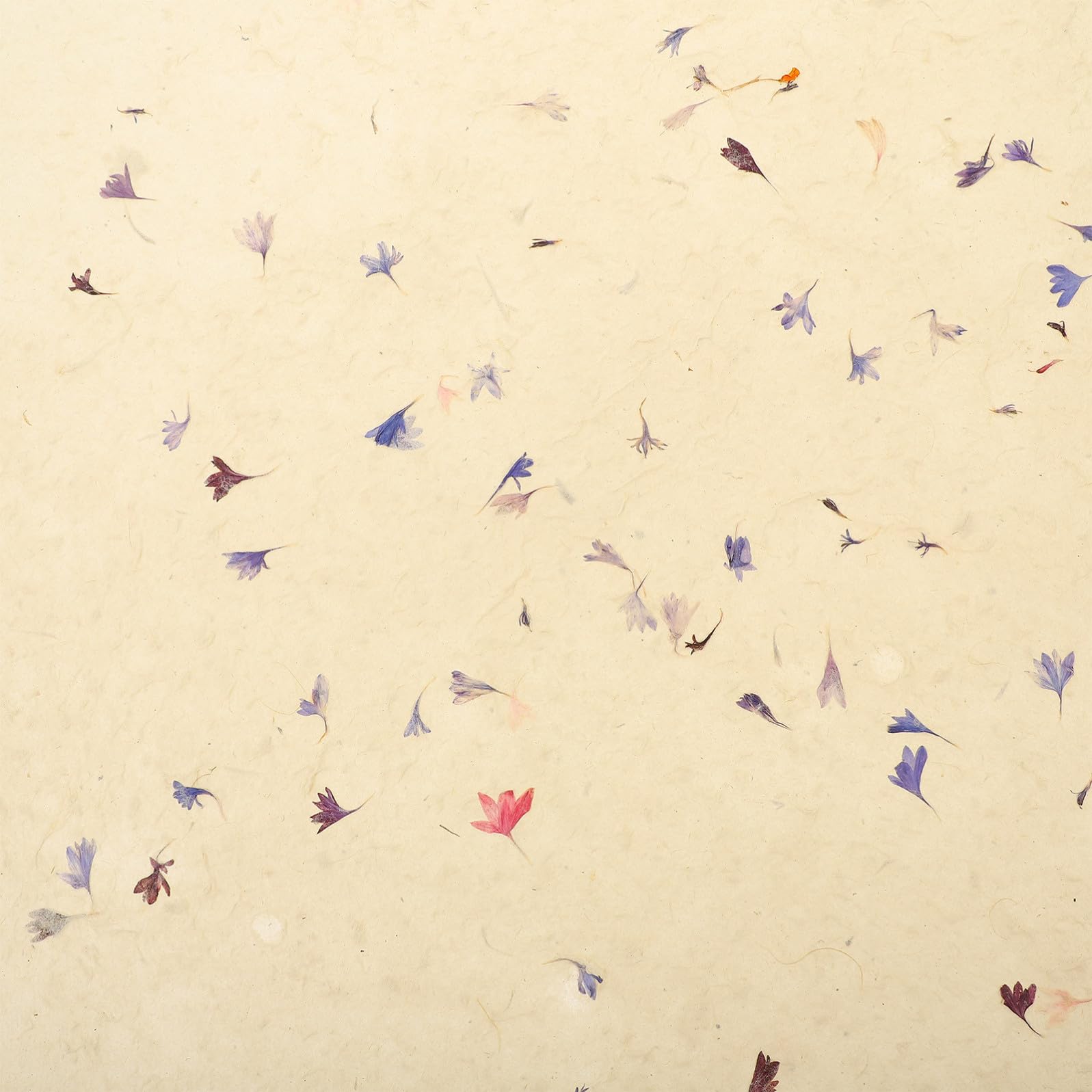 FRCOLOR 4pièces Papier Motif Floral Naturel De Fête Pour Anniversaires Mariages Et Événements Spéciaux