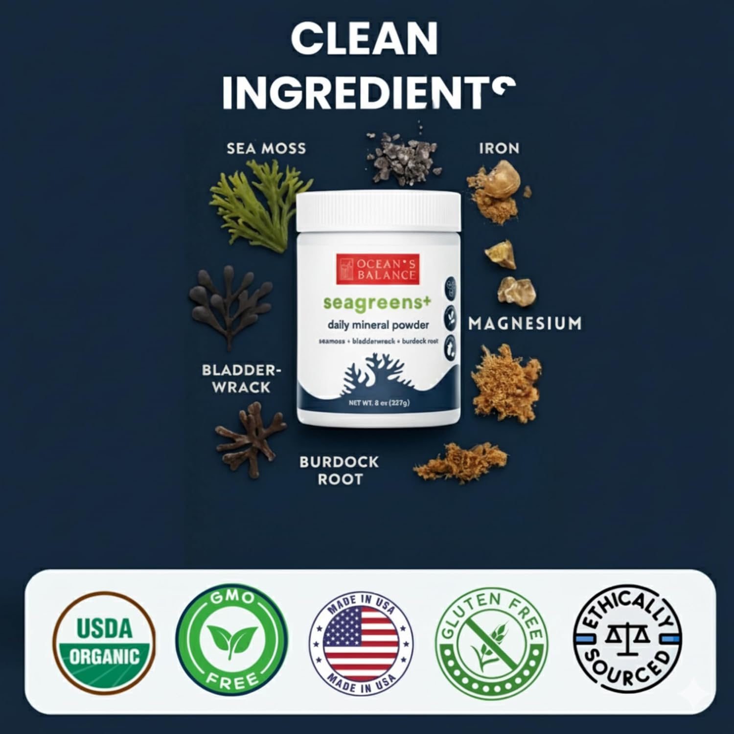 Ocean’s Balance Seagreens+ Daily Superfood Powder — Organic Seaweed Greens Powder with Dulse & Seagreens for Energy, Digestion & Immune Support — Vegan, Gluten-Free, Non-GMO (8oz)