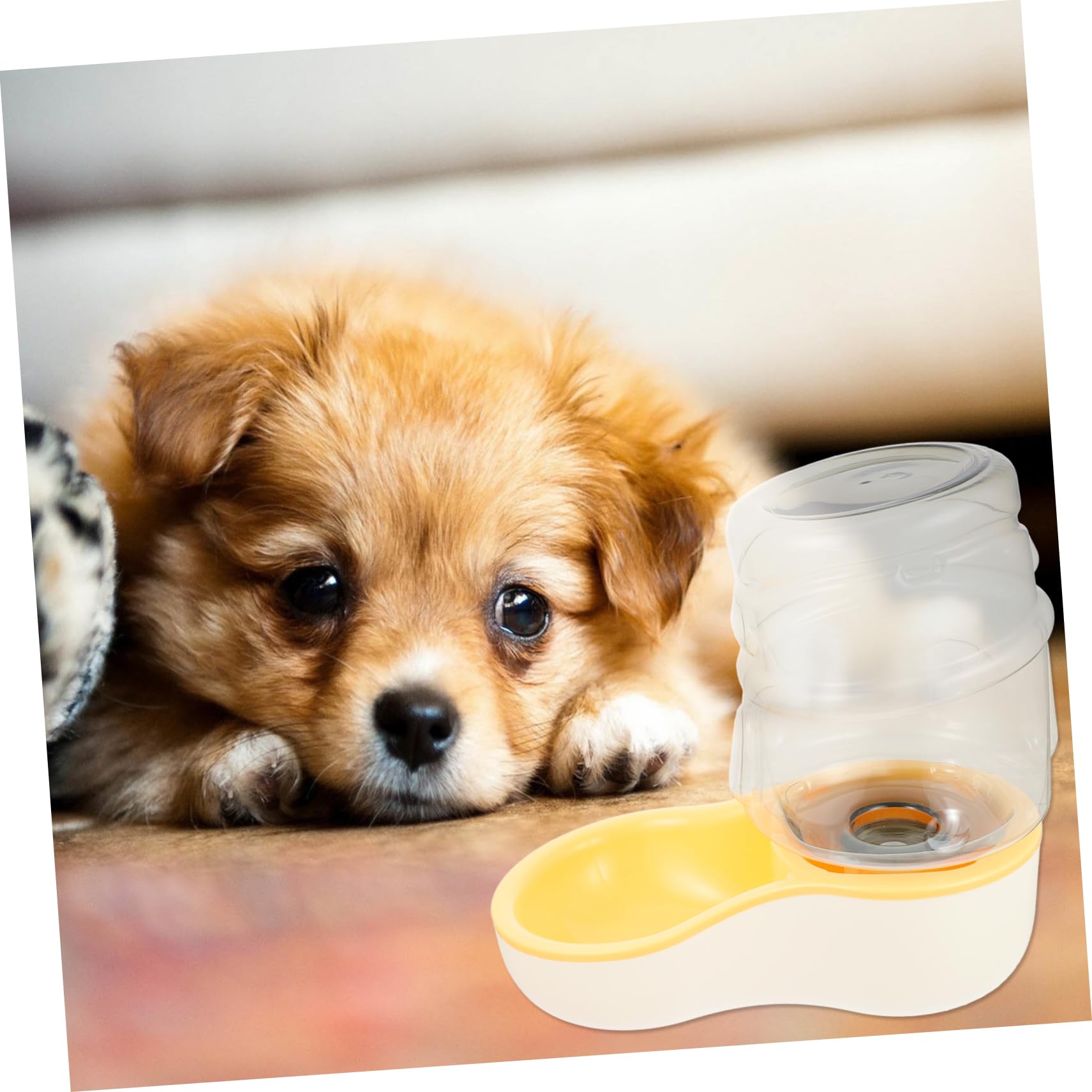 HEMOTON Pet Water Bowl Automatic Dog Cat Water Fountain Dispenser Stable Design Easy to