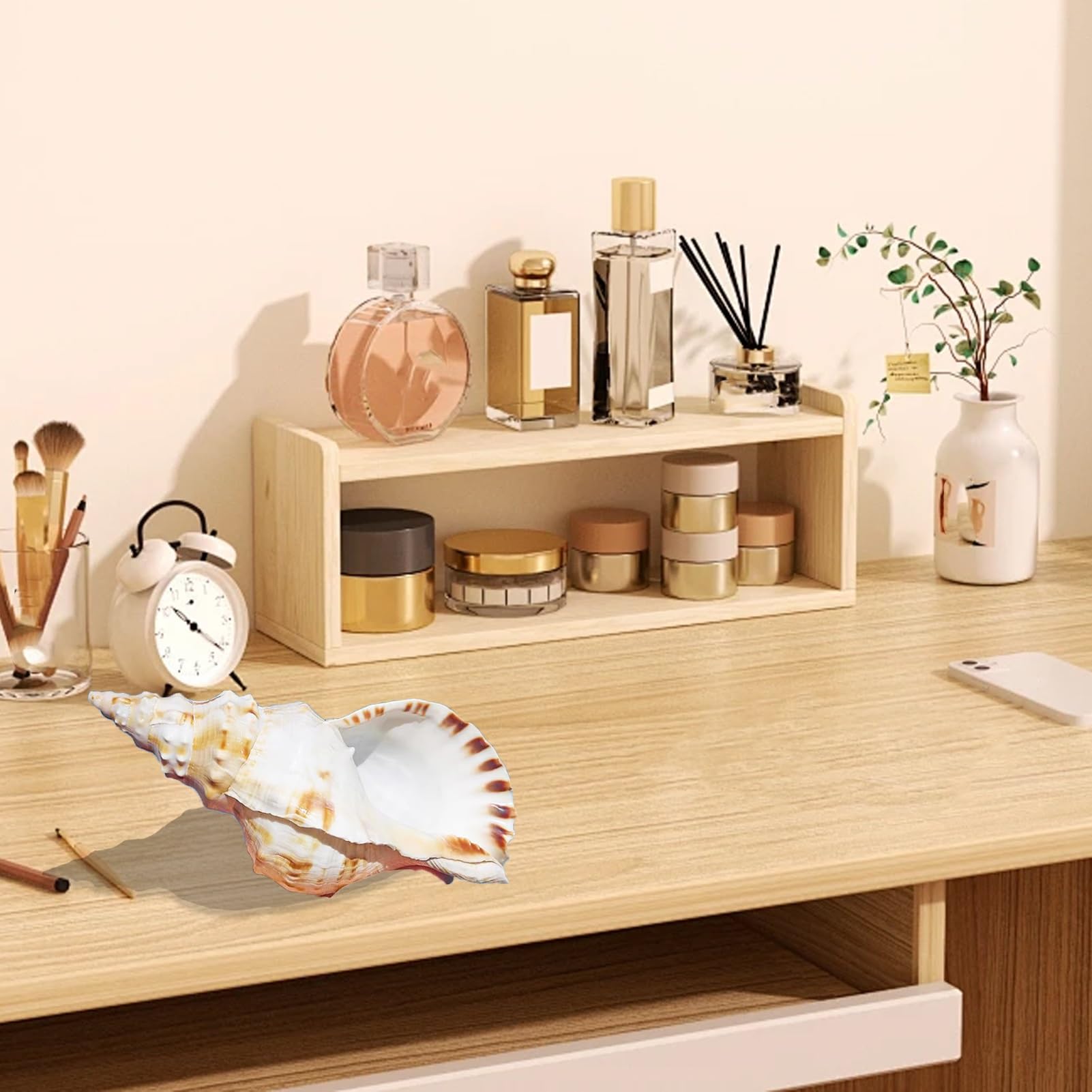 Grande conchiglia decorativa per la casa, decorazione per acquario, collezionista fai da te per vasi, accessorio a tema spiaggia per matrimoni