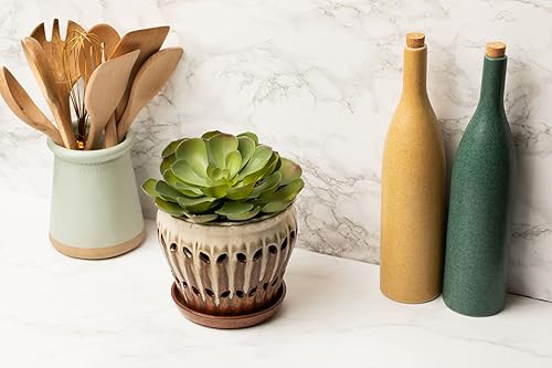 Miniatura 5 de rePotme Tierra para macetas multiusos para plantas de interior y exterior, orgánica y fabricada en los Estados Unidos, plantas de interior y mezcla