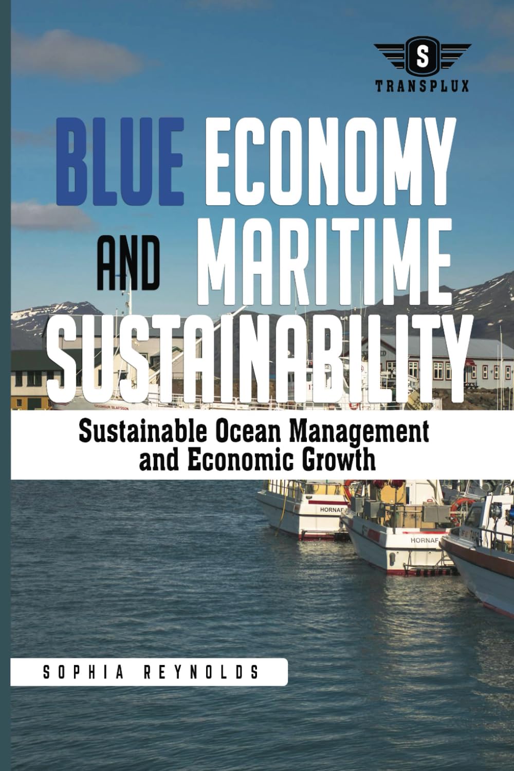 Blue Economy and Maritime Sustainability: Strategies for Sustainable Ocean Management and Economic Growth