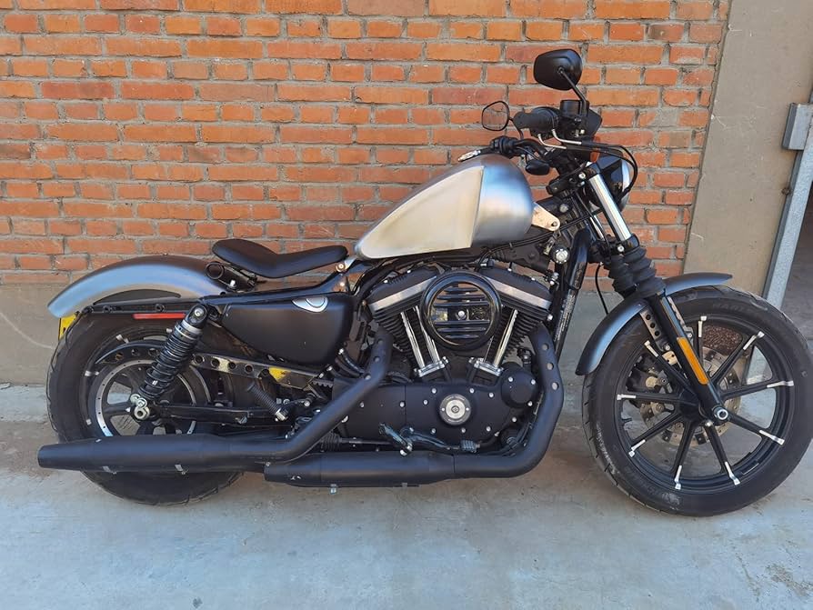 HARLEY-DAVIDSON スポーツスター17ℓタンク Amazon.co.jp: ハーレースポーツスターXLモデル2007-2022未塗装