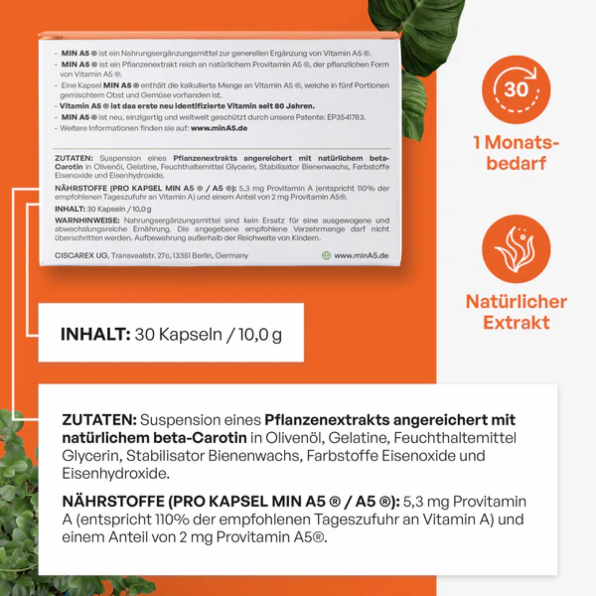 Vitamin A5 NEU identifizierts Vitamin A - 1 Monatsvorrat 30 Kapseln Nahrungsergänzung Natürlicher Extrakt hochdosierte Formel – Patentiert Made in Germany