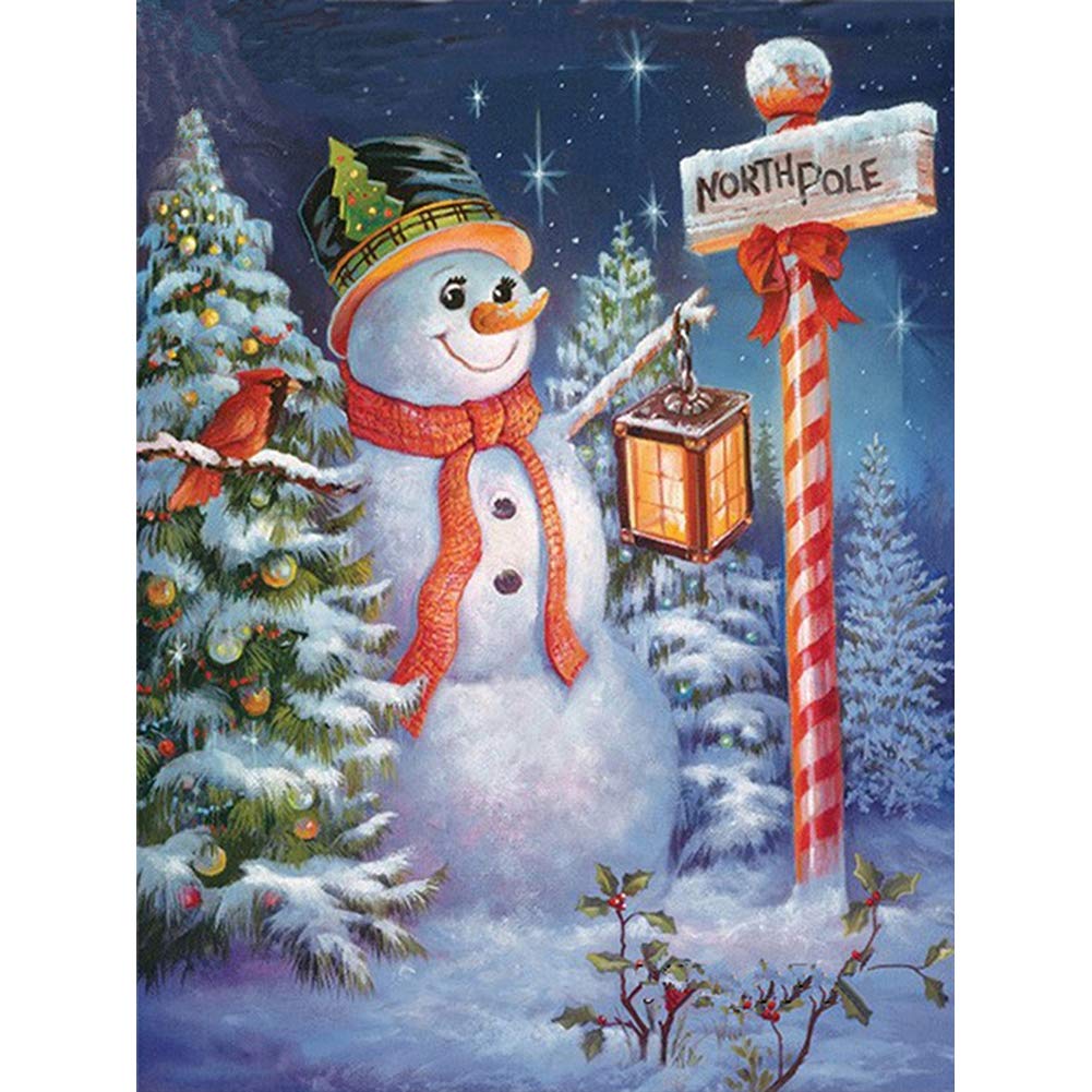 Kit Complet Peinture Diamant 5D 'Bonhomme De Neige De Noël' - Toile 30x40cm, Strass Résine, Outils Inclus