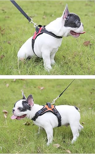 Miniatura 8 de Arnés para perro  Chaleco de agarre con correa para mascotas estilo silla de montar con chaleco acolchado suave ajustable y asa de fácil control