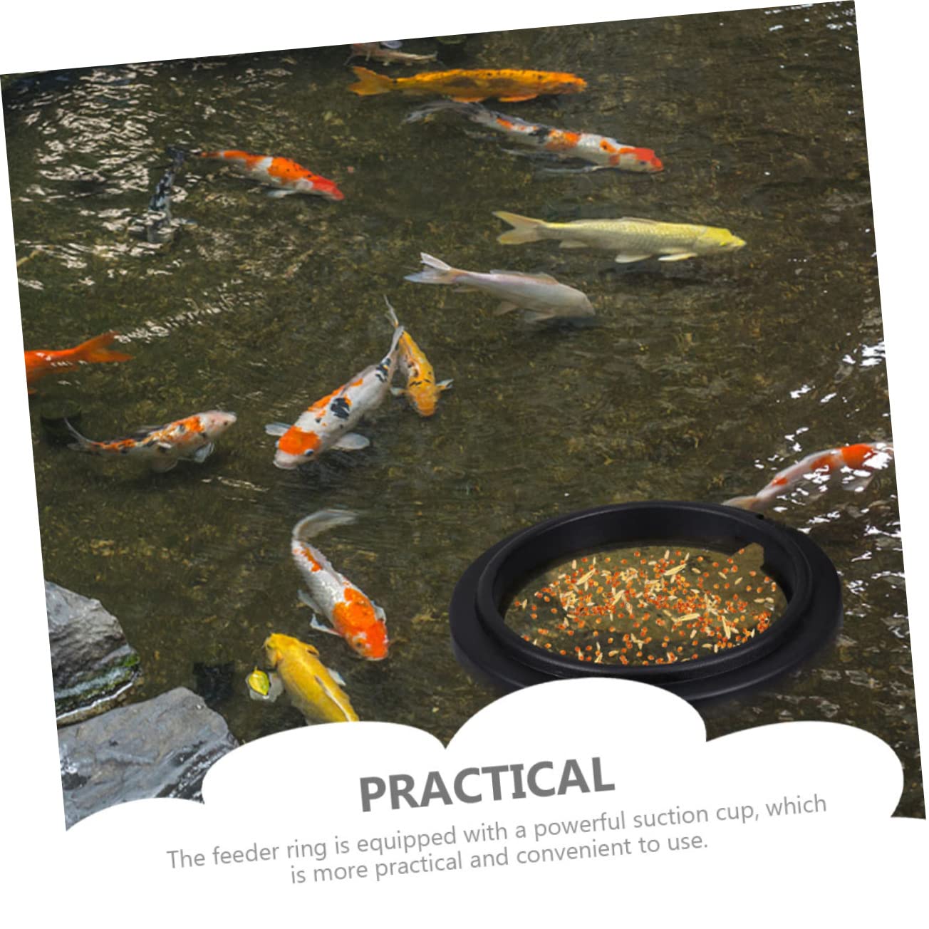 Mipcase 15stücke Tragbare Fischfütterungsringe Für Aquarien Professionelle Futterstationen Für Süß Und Salzwasser Für Garnelen Und Tropische Fische Mit Schwimmendem Design Für