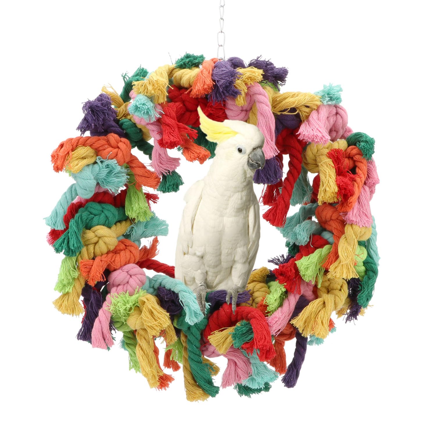 Hypeety Pet Bird Coton Bague Jeu d'exercice à mâcher Coton Snuggle Bague Bird Toy