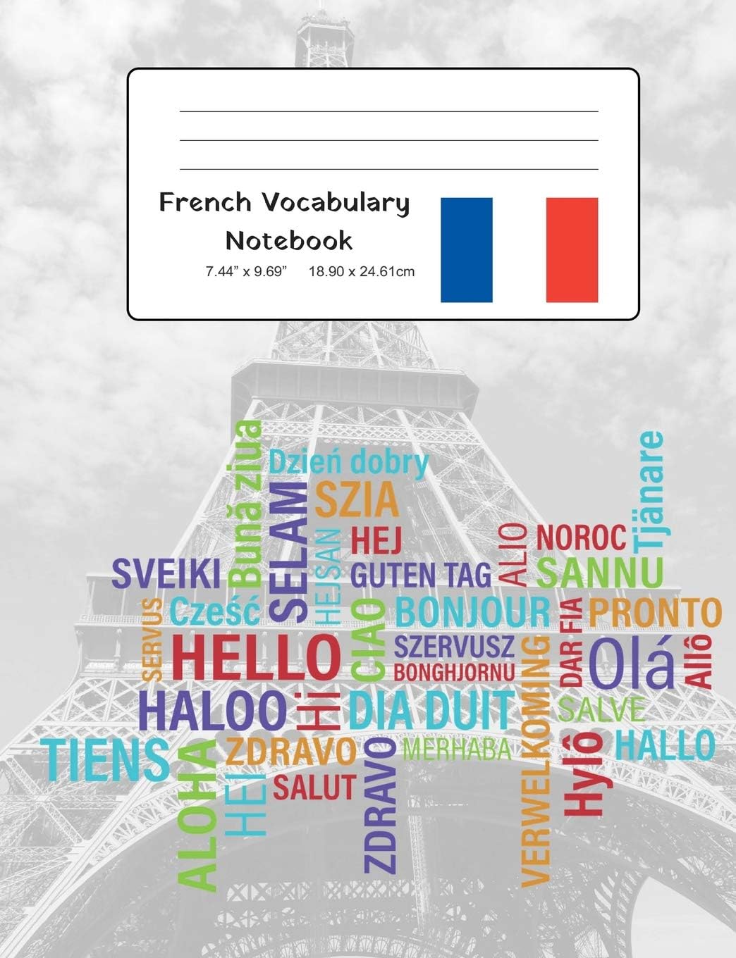 French Vocabulary Notebook: Split page layout for easy and consistent notation and revision of French language vocabulary items (Foreign Language Study Vocabulary Notebooks)
