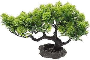 GANAZONO Bonsai Tree, Live Japanese Decor