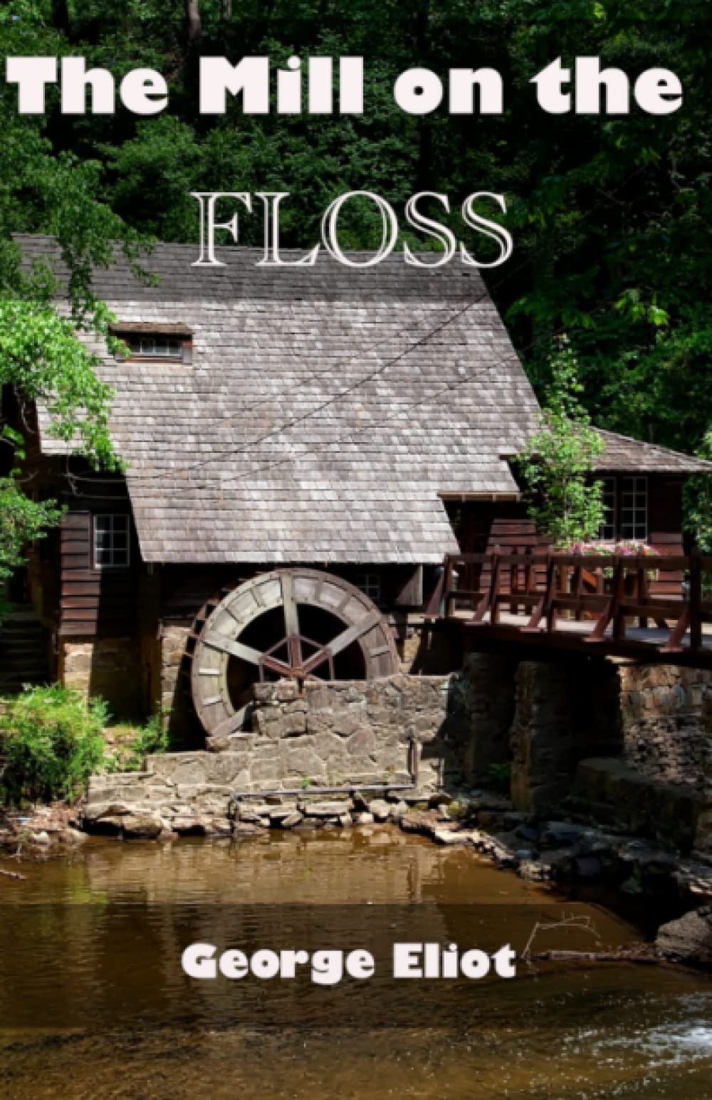 The Mill on the Floss: A 19th century literary classic