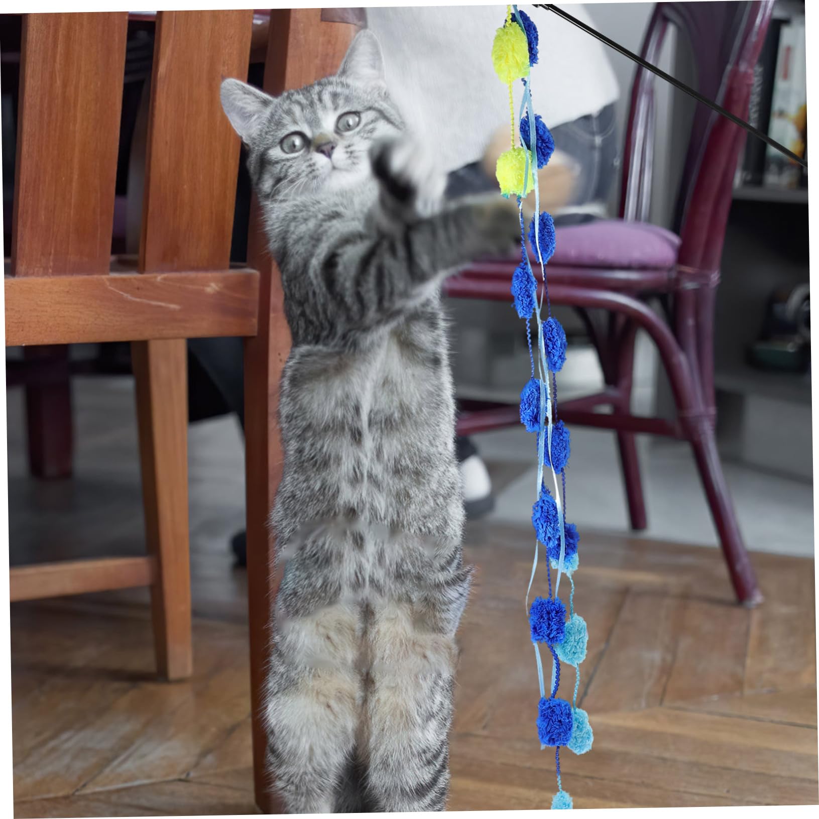 YARNOW 15 Pièces Chat taquin Interactive Cat Toy Fournitures de Chat on Jouets pour s interactifs Jouets interactifs pour s Jouet pour Plastique