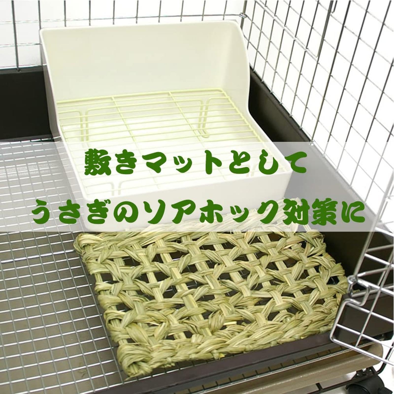 Amazon.co.jp: うさぎ がフェンス ガード ボード 2pcs ケージ 齧り